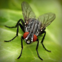 /album/cortiweafar/photolia-a01-jpg/