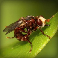 /album/cortiweafar/photolia-a06-jpg/