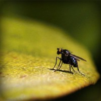 /album/cortiweafar/photolia-a07-jpg/